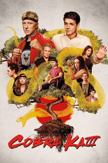 مسلسل Cobra Kai الموسم الثالث كامل في فيديو واحد