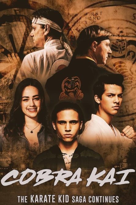 مسلسل Cobra Kai الموسم الثاني كامل في فيديو واحد